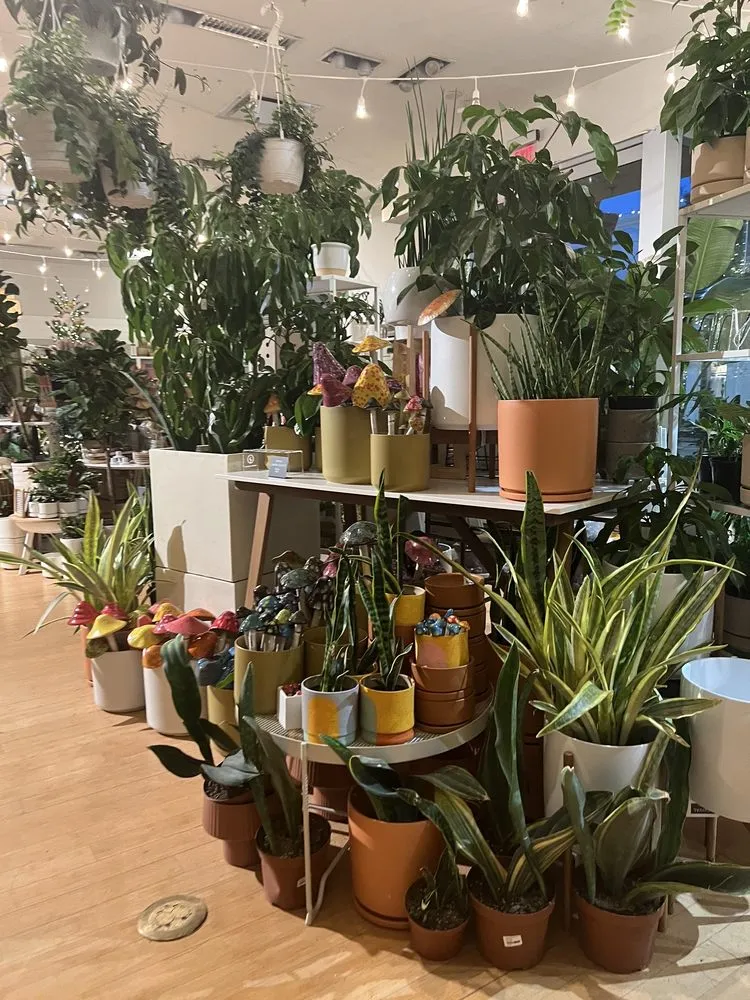 Expert outdoor landscaping in Tigard, OR by Dennis' 7 Dees Urban Plant Shop