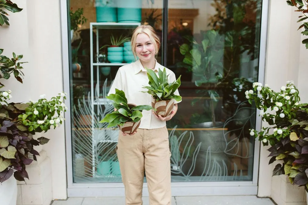 Reliable lawn mowing service for outdoor upgrades in Tigard, OR by Dennis' 7 Dees Urban Plant Shop