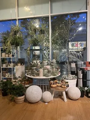 Dennis' 7 Dees Urban Plant Shop Logo