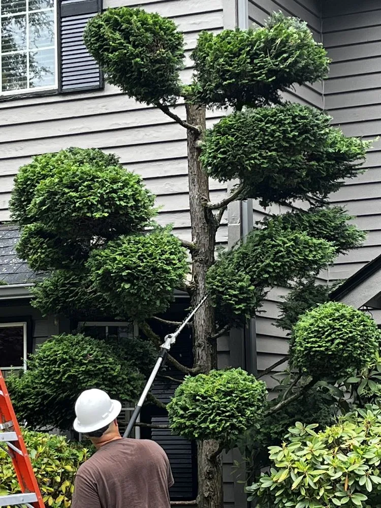 Expert garden landscaping in Tacoma, WA - Dennis Dillon Pruning