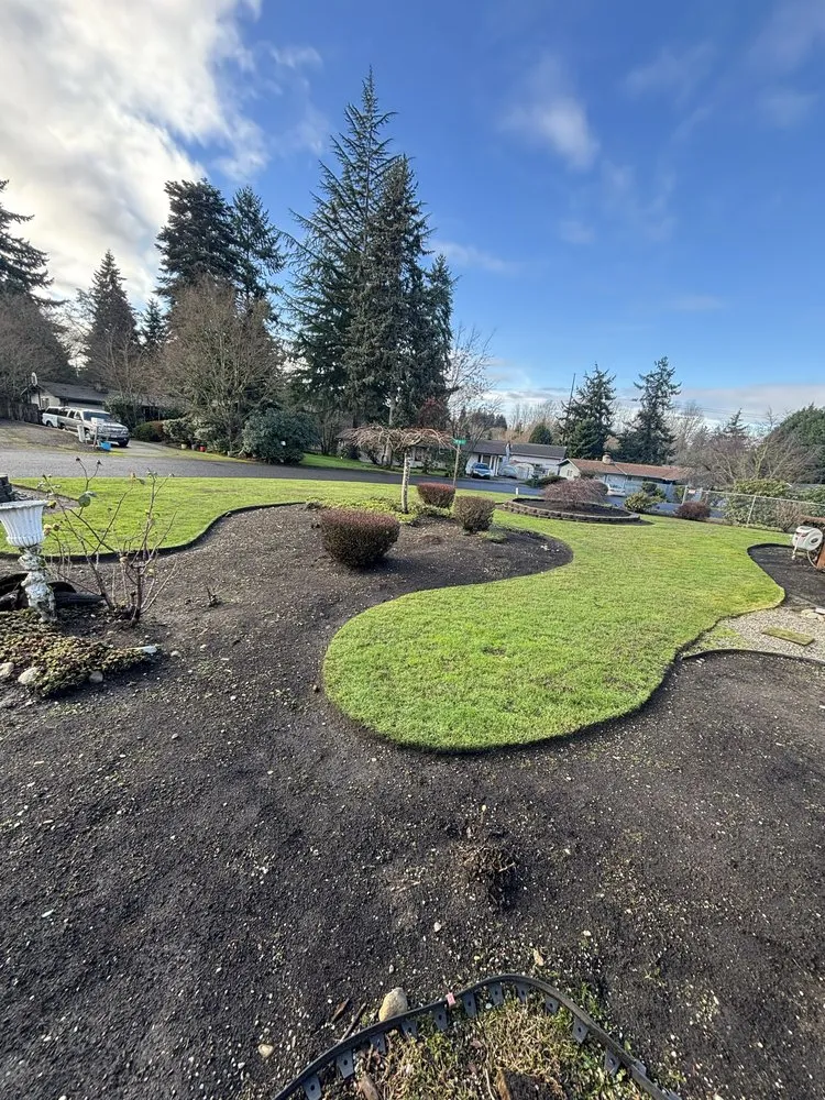 Top-rated lawn care service experts serving Tacoma, WA - Dennis Dillon Pruning