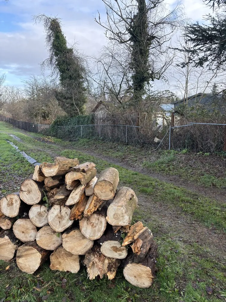 Trusted garden landscaping for beautiful yards across Tacoma, WA - Dennis Dillon Pruning