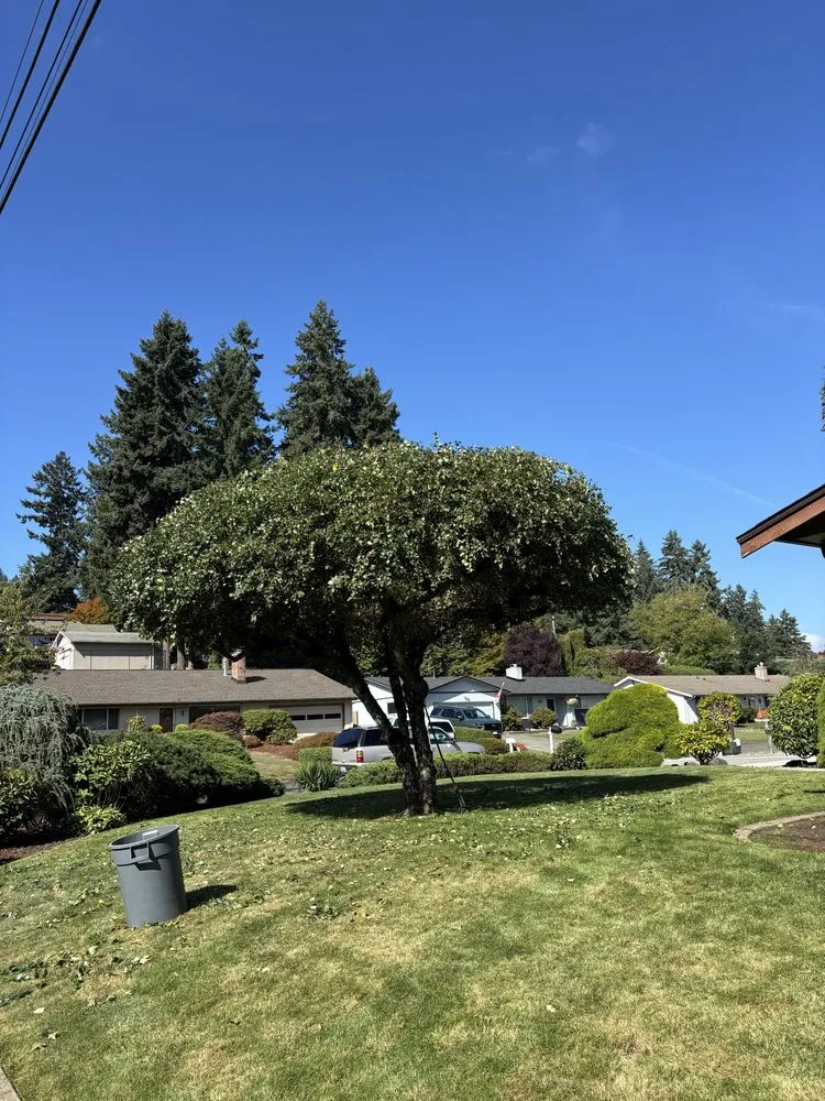 Custom garden landscaping in Tacoma, WA - Dennis Dillon Pruning