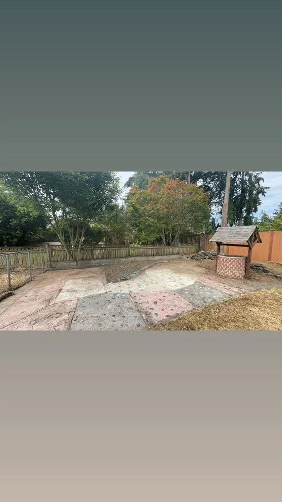 Top-rated landscaping services for year-round maintenance across Tacoma, WA - Dennis Dillon Pruning