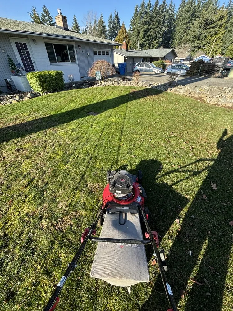 Trusted yard maintenance near you in Tacoma, WA by Dennis Dillon Pruning