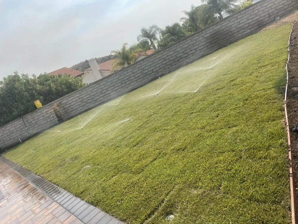 Top-rated yard cleanup service experts serving Santa Clarita, CA - Denni’s Gardening, Tree, & Landscape Service