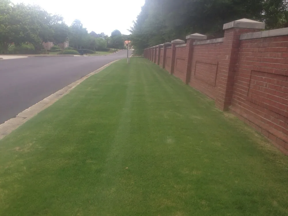 Affordable yard maintenance in North Augusta, SC - Dennis Lawn Care