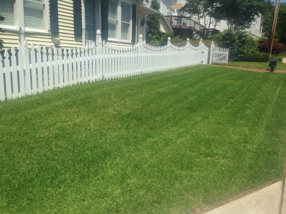 Professional yard maintenance experts serving North Augusta, SC - Dennis Lawn Care