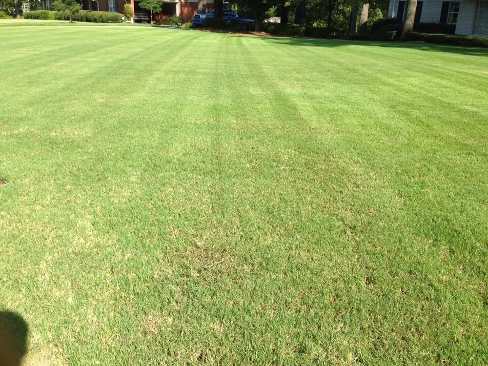 Trusted lawn care service in North Augusta, SC - Dennis Lawn Care