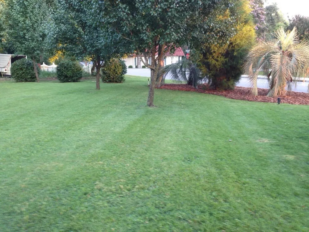Trusted lawn mowing service for homes across North Augusta, SC - Dennis Lawn Care