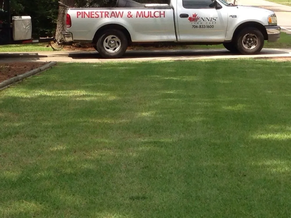 Trusted yard cleanup service for beautiful yards in North Augusta, SC by Dennis Lawn Care