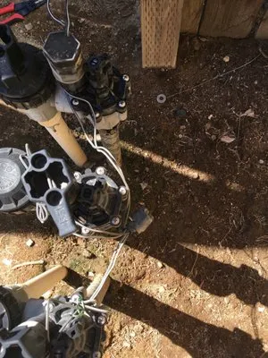 Dennis Miura Landscape & Design