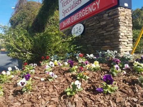 Expert lawn mowing service for outdoor upgrades across Norcross, GA - Dennis Premier Landscaping