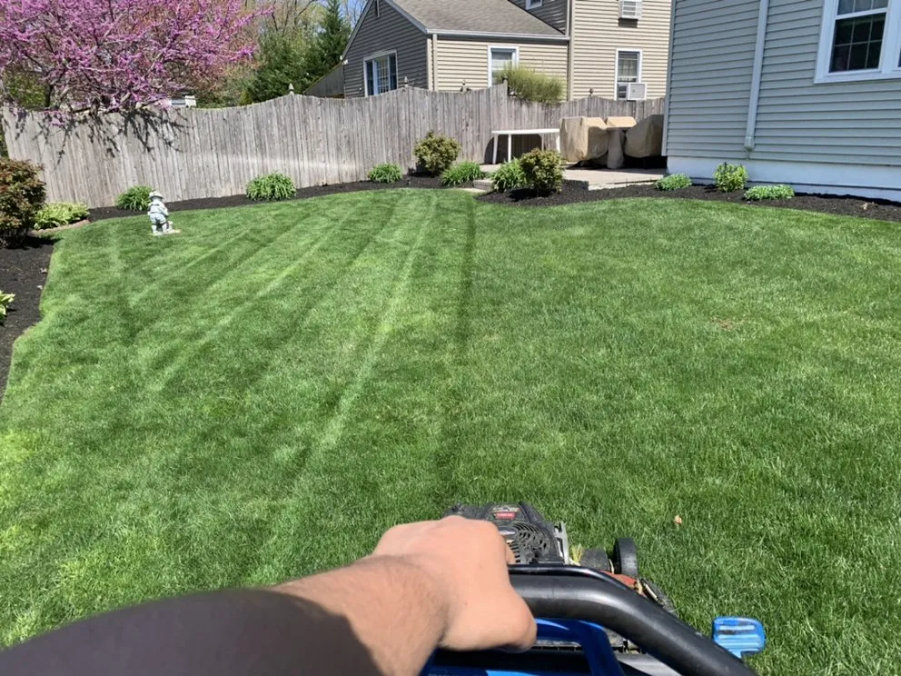 Custom landscape installation in Elizabeth, NJ - Dennis Saldana Landscaping