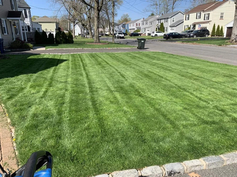 Top-rated lawn mowing service experts serving Elizabeth, NJ - Dennis Saldana Landscaping
