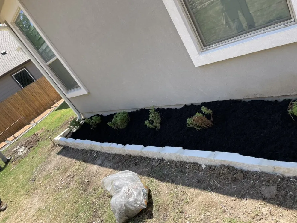 Reliable lawn mowing service for year-round maintenance in Buda, TX by Dennis Trees service