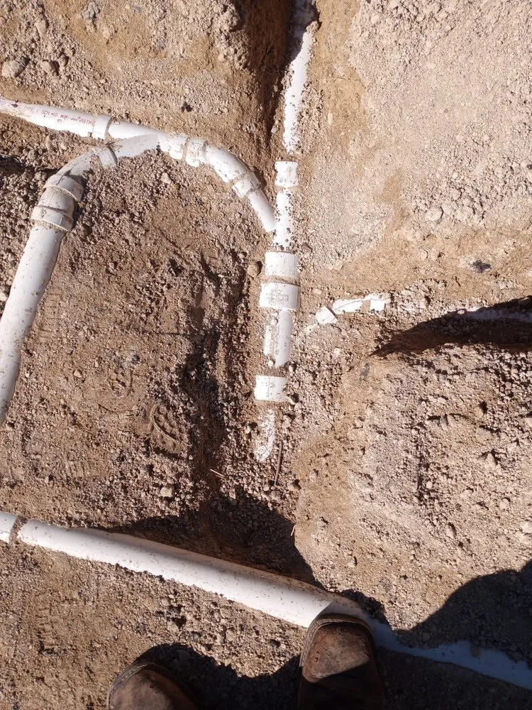 Top-rated garden landscaping near you across Buda, TX - Dennis Trees service