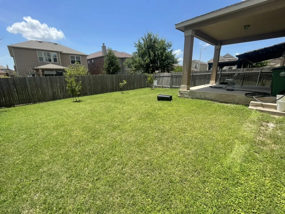 Custom lawn care service experts serving Buda, TX - Dennis Trees service