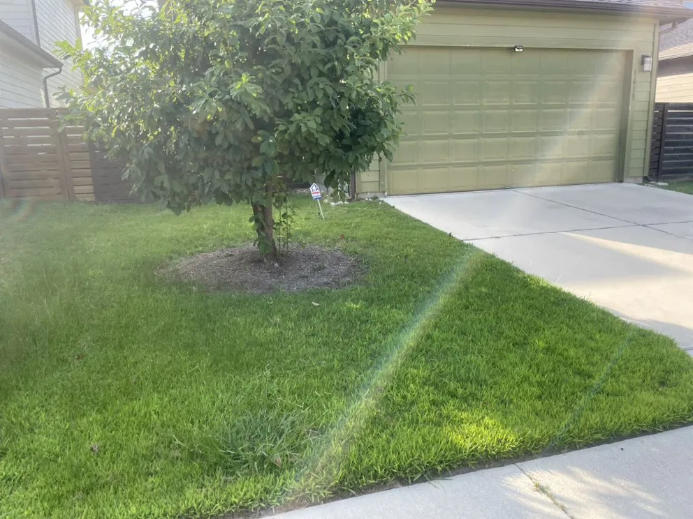 Expert lawn mowing service experts serving Buda, TX - Dennis Trees service