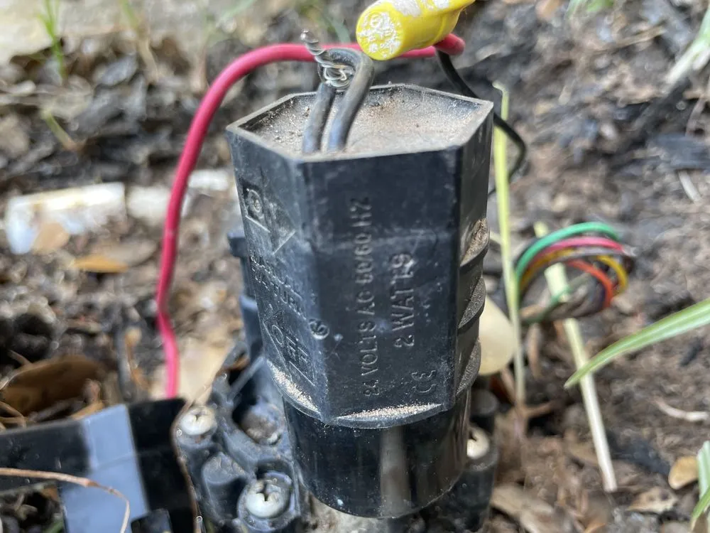 Top-rated yard maintenance in Buda, TX by Dennis Trees service