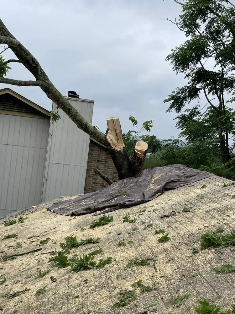 Local lawn mowing service near you in Buda, TX by Dennis Trees service