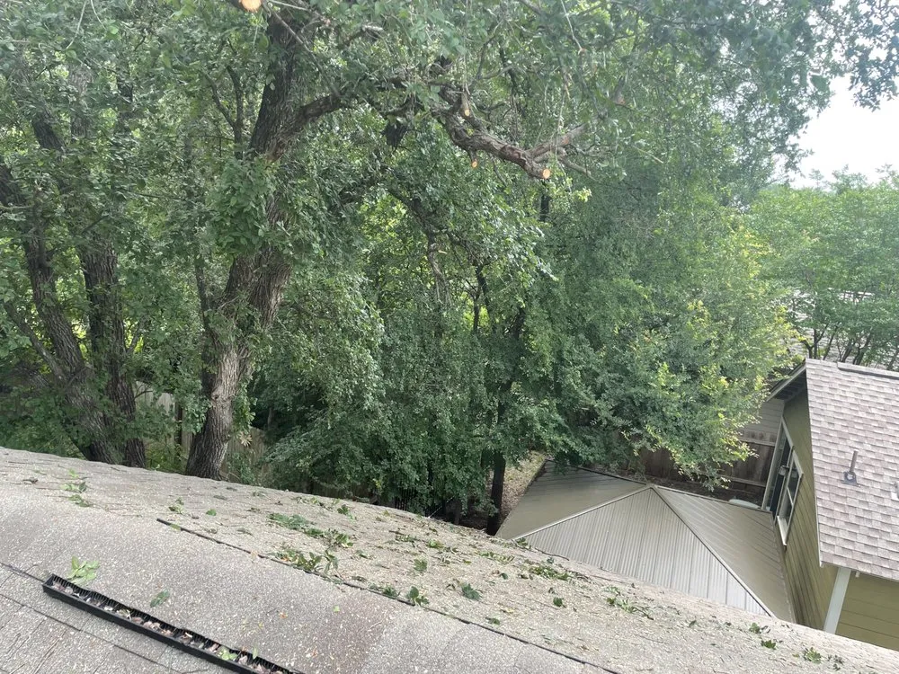 Reliable landscape design experts serving Buda, TX - Dennis Trees service