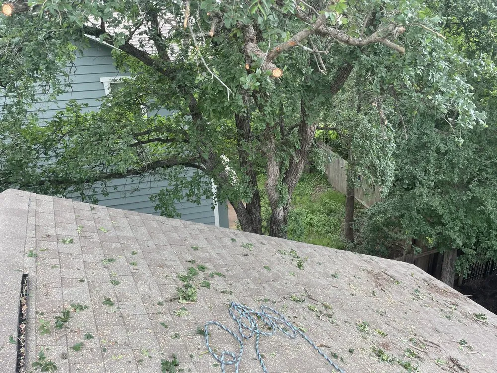 Top-rated landscaping services experts serving Buda, TX - Dennis Trees service