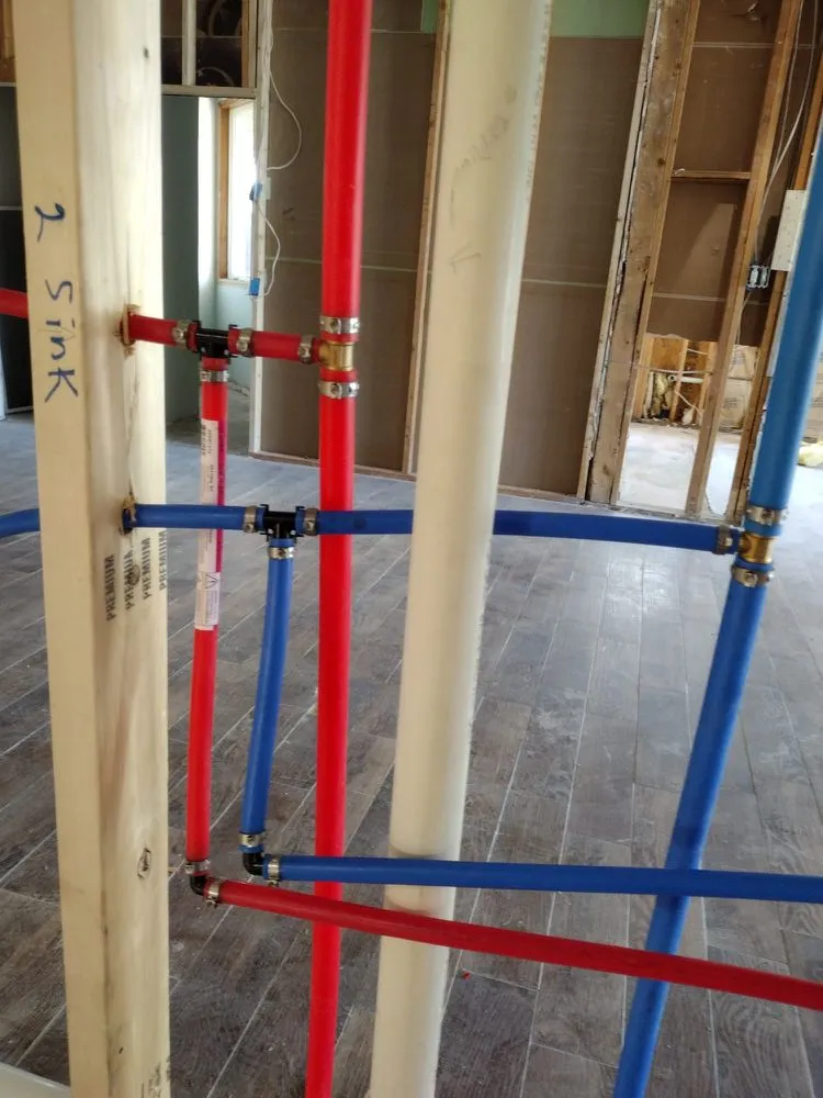 Affordable landscape design experts serving Buda, TX - Dennis Trees service