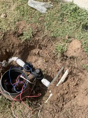 Dennis Trees service Logo