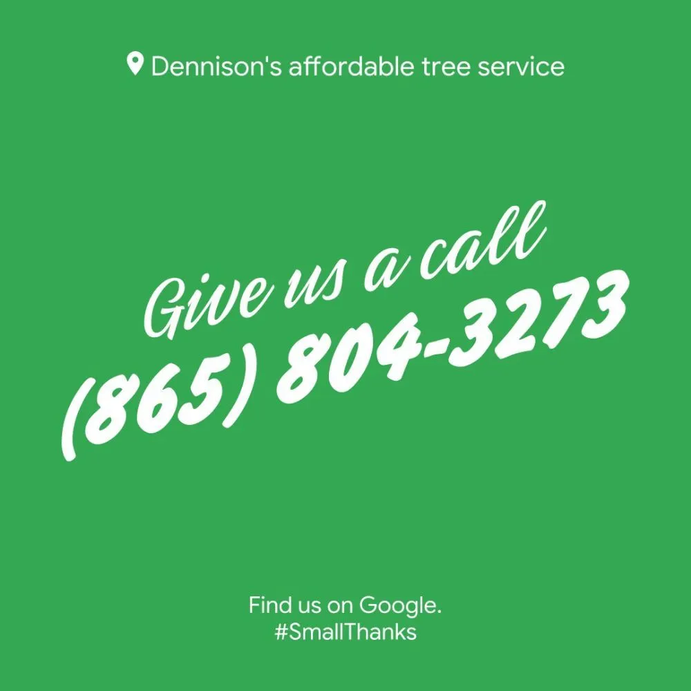 Top-rated landscaping services for residential properties across Sevierville, TN - Dennison's Affordable Tree Service