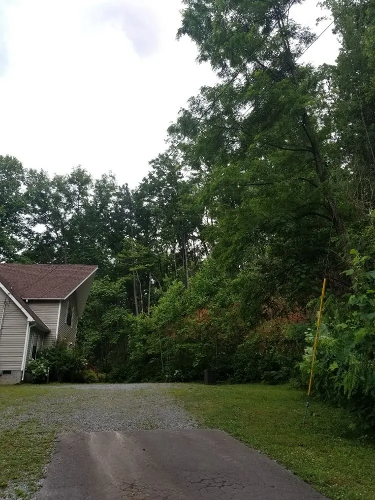 Top-rated landscaping services in Sevierville, TN by Dennison's Affordable Tree Service