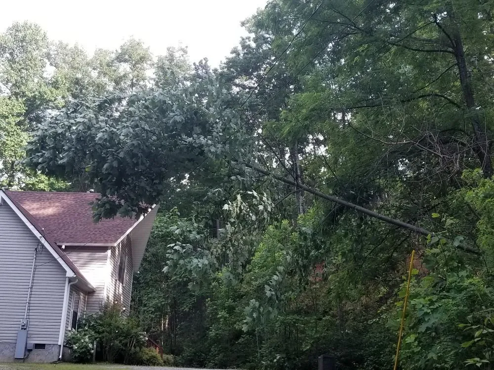 Expert outdoor landscaping in Sevierville, TN - Dennison's Affordable Tree Service