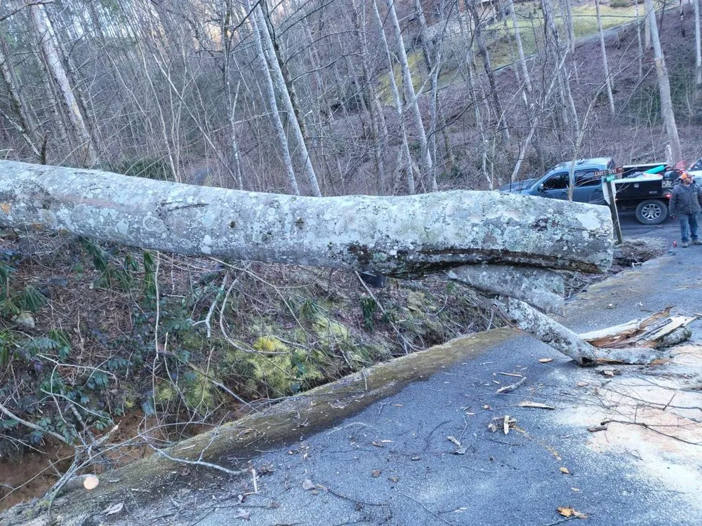 Affordable yard maintenance in Sevierville, TN by Dennison's Affordable Tree Service