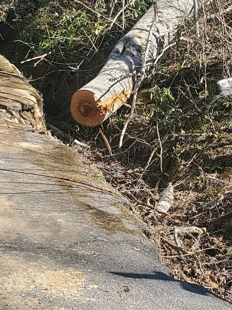 Expert landscape design in Sevierville, TN - Dennison's Affordable Tree Service