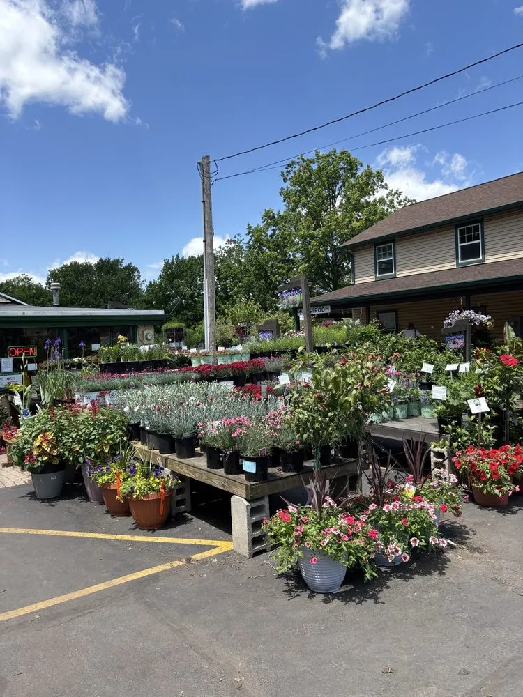 Affordable yard maintenance in Cincinnati, OH - Denny McKeown's Bloomin Garden Centre