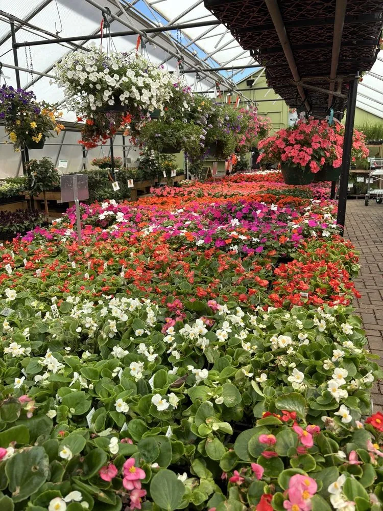 Expert landscape installation in Cincinnati, OH by Denny McKeown's Bloomin Garden Centre