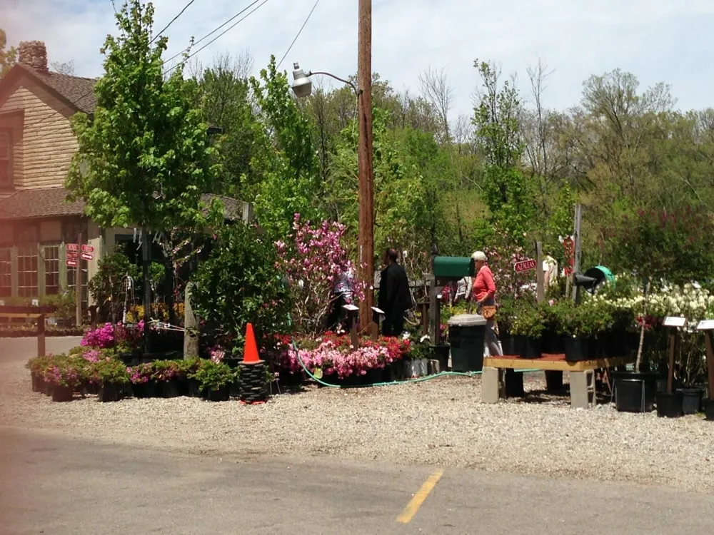 Expert yard cleanup service for homes across Cincinnati, OH - Denny McKeown's Bloomin Garden Centre