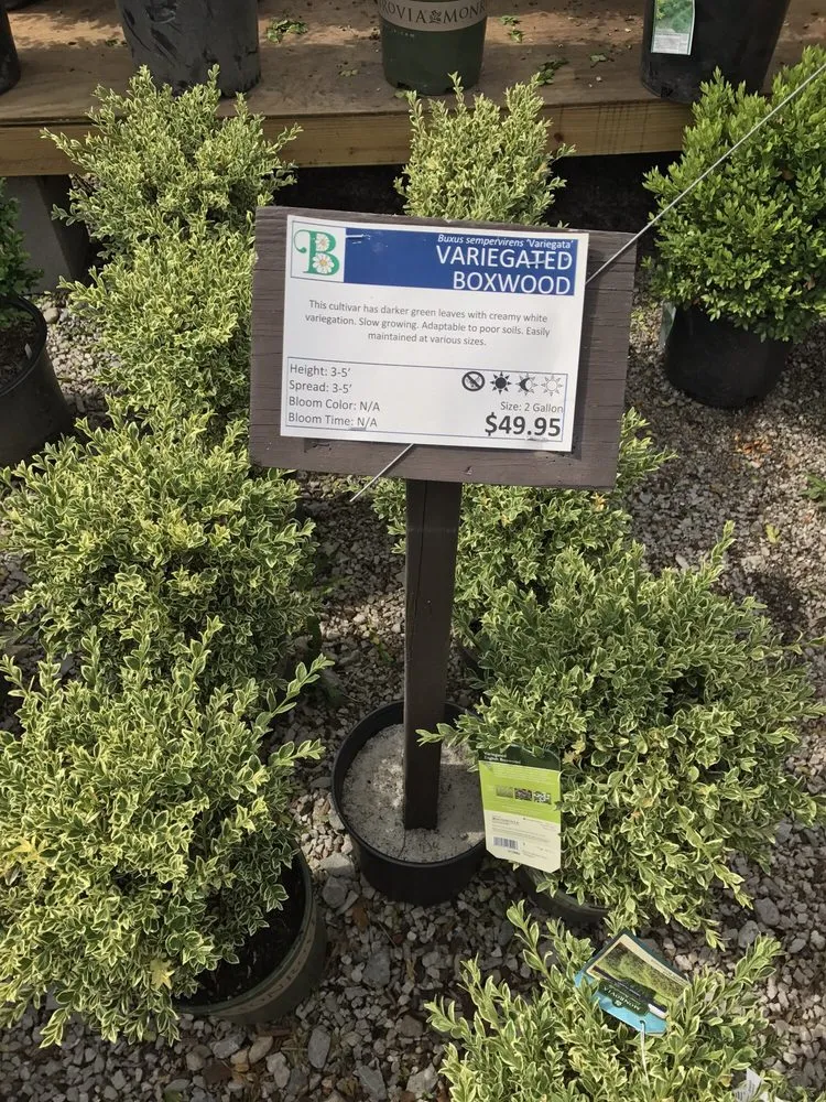 Reliable yard maintenance for residential properties in Cincinnati, OH by Denny McKeown's Bloomin Garden Centre