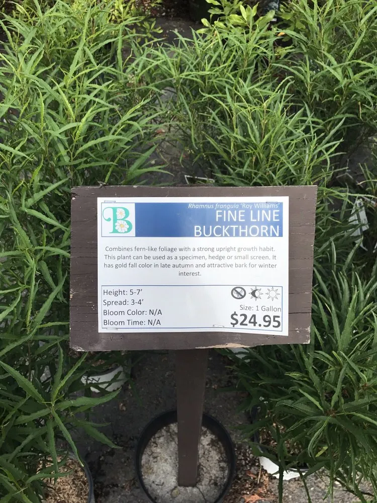 Trusted landscape design experts serving Cincinnati, OH - Denny McKeown's Bloomin Garden Centre