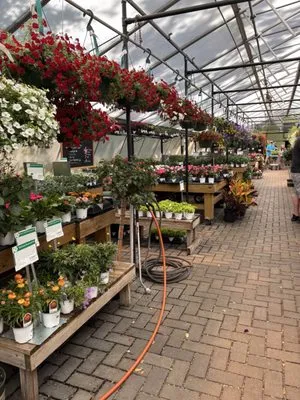 Denny McKeown's Bloomin Garden Centre Logo