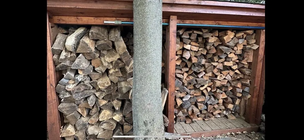 Top-rated yard cleanup service in Paramus, NJ - Denny Wiggers Garden Center