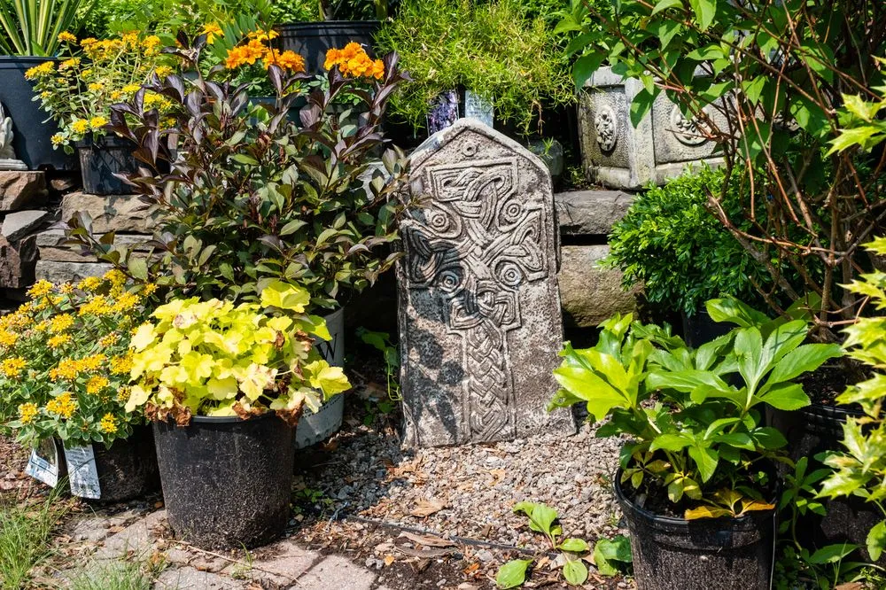 Top-rated landscaping services for beautiful yards in Paramus, NJ by Denny Wiggers Garden Center