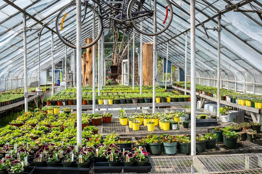 Local landscape design for residential properties in Paramus, NJ by Denny Wiggers Garden Center