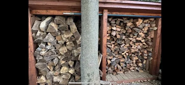 Denny Wiggers Garden Center