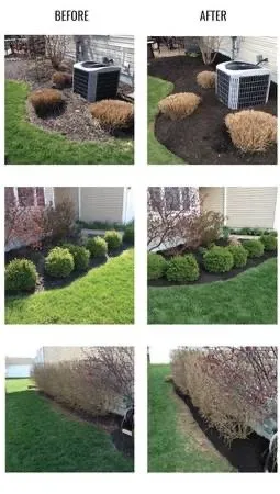 Local lawn care service in Medford, MA by Denny's Landscaping Services