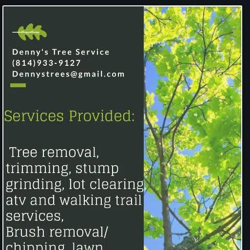 Trusted lawn care service experts serving Bellefonte, PA - Denny's Tree Service