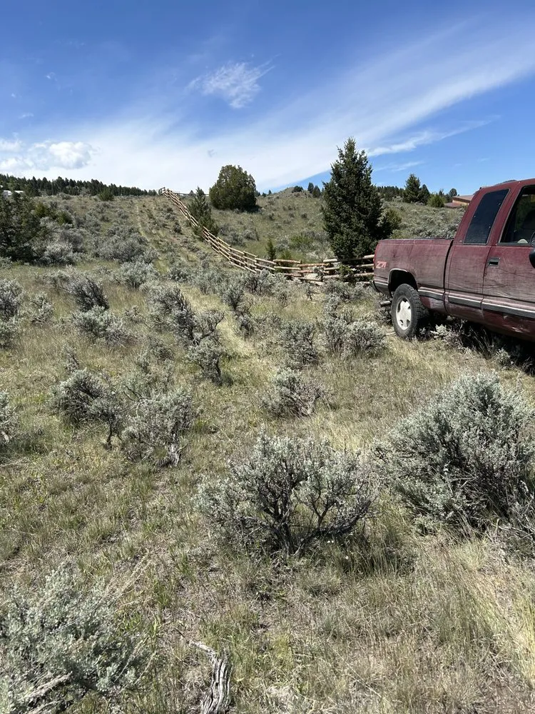 Trusted yard cleanup service in Wise River, MT by Deno Creek Land Management