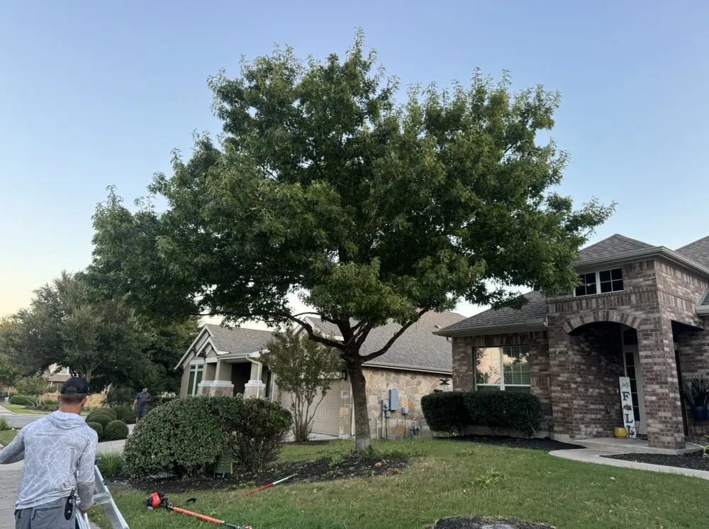 Professional outdoor landscaping in Leander, TX by Densing Lawn