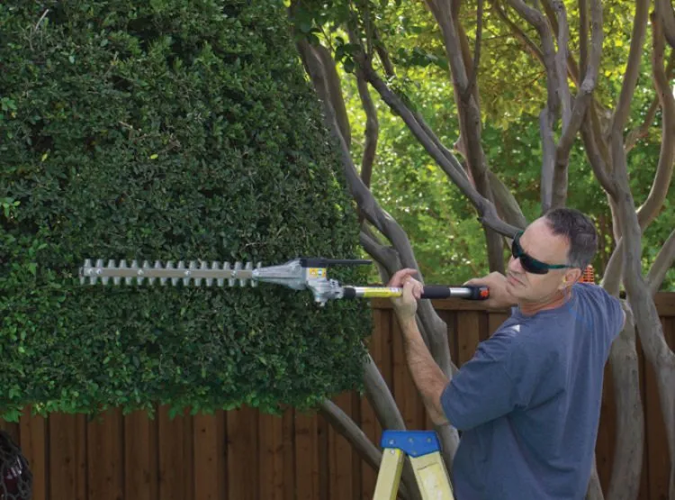 Professional yard maintenance in Albertville, AL - Denson Tree Service