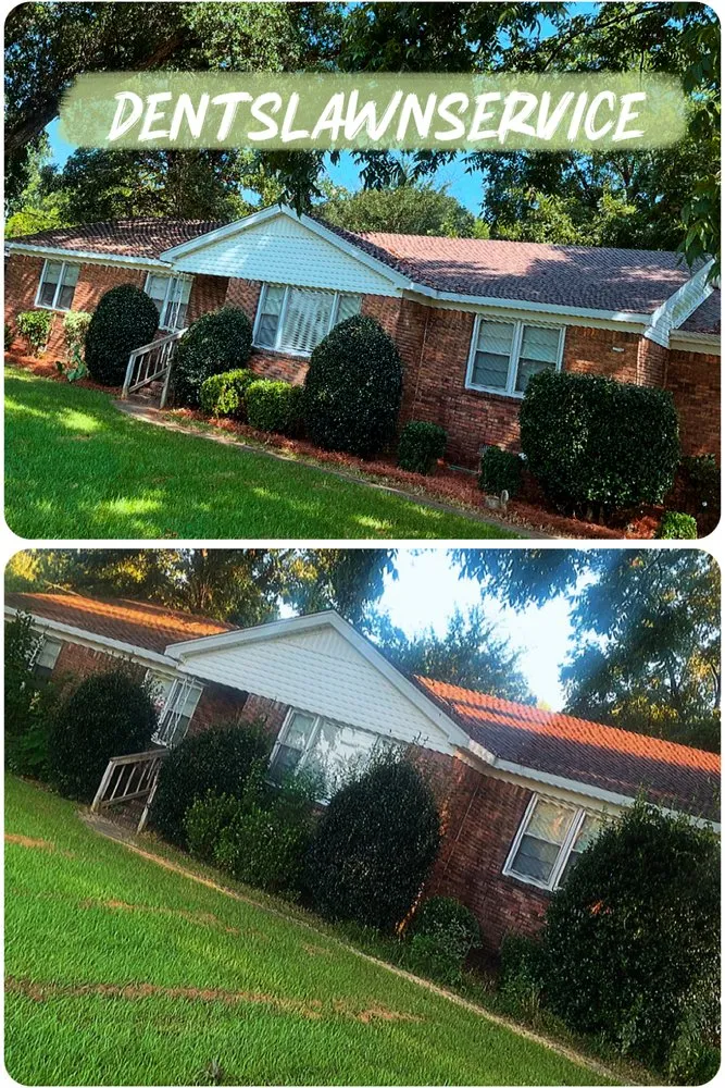 Professional yard maintenance for homes across Cottondale, AL - Dent Lawn Service